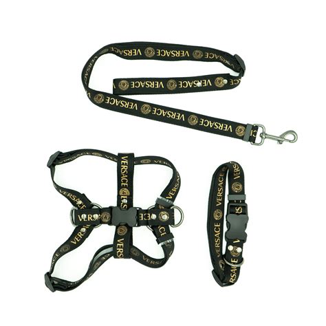 versace pet collar|versace dog collar and leash.